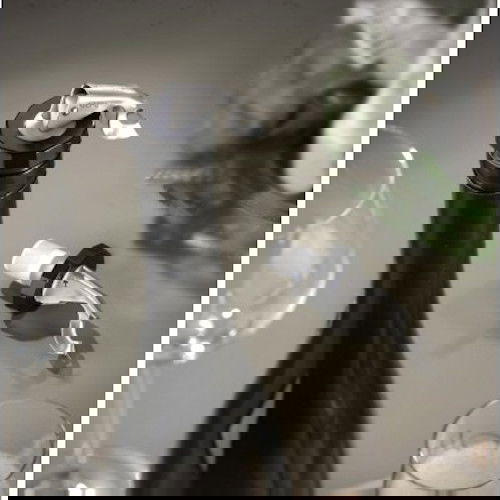 slide-image