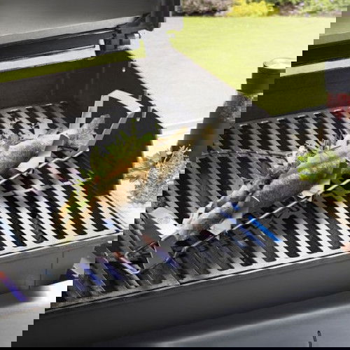 slide-image