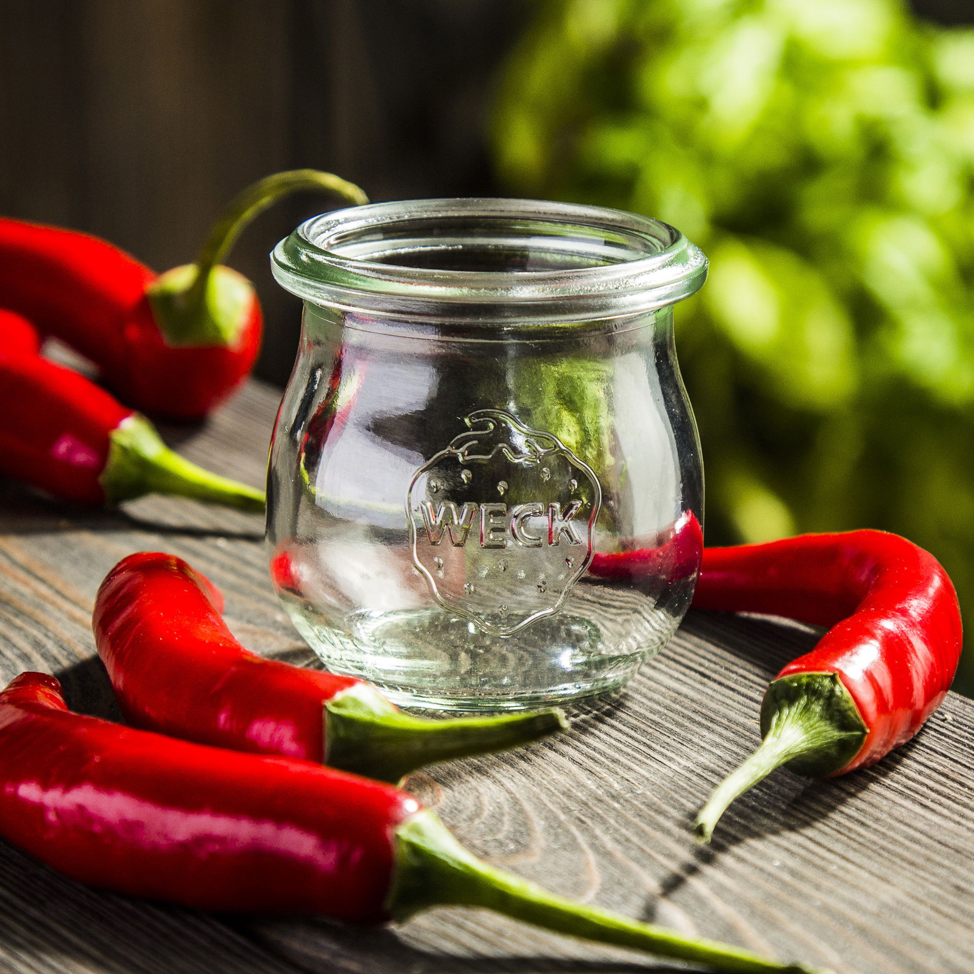 WECK Tulip 0,075 l 6 ks - sklenené zaváraninové poháre typu wek bez viečok