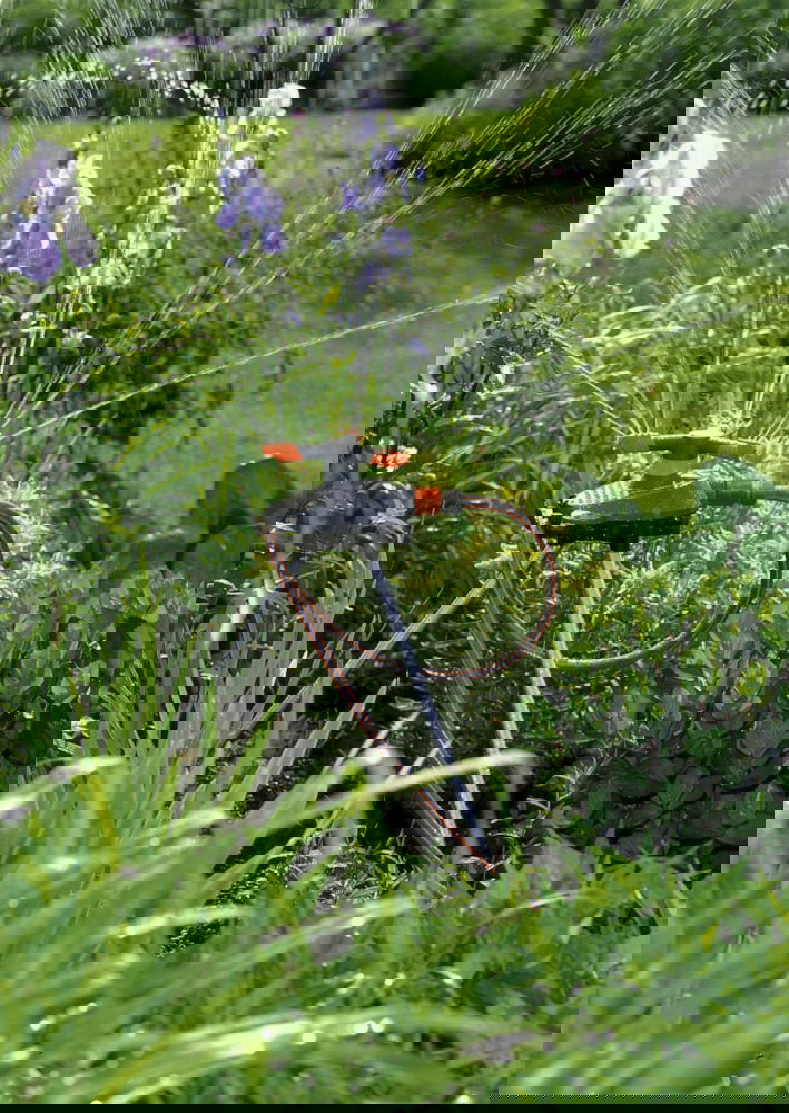 slide-image