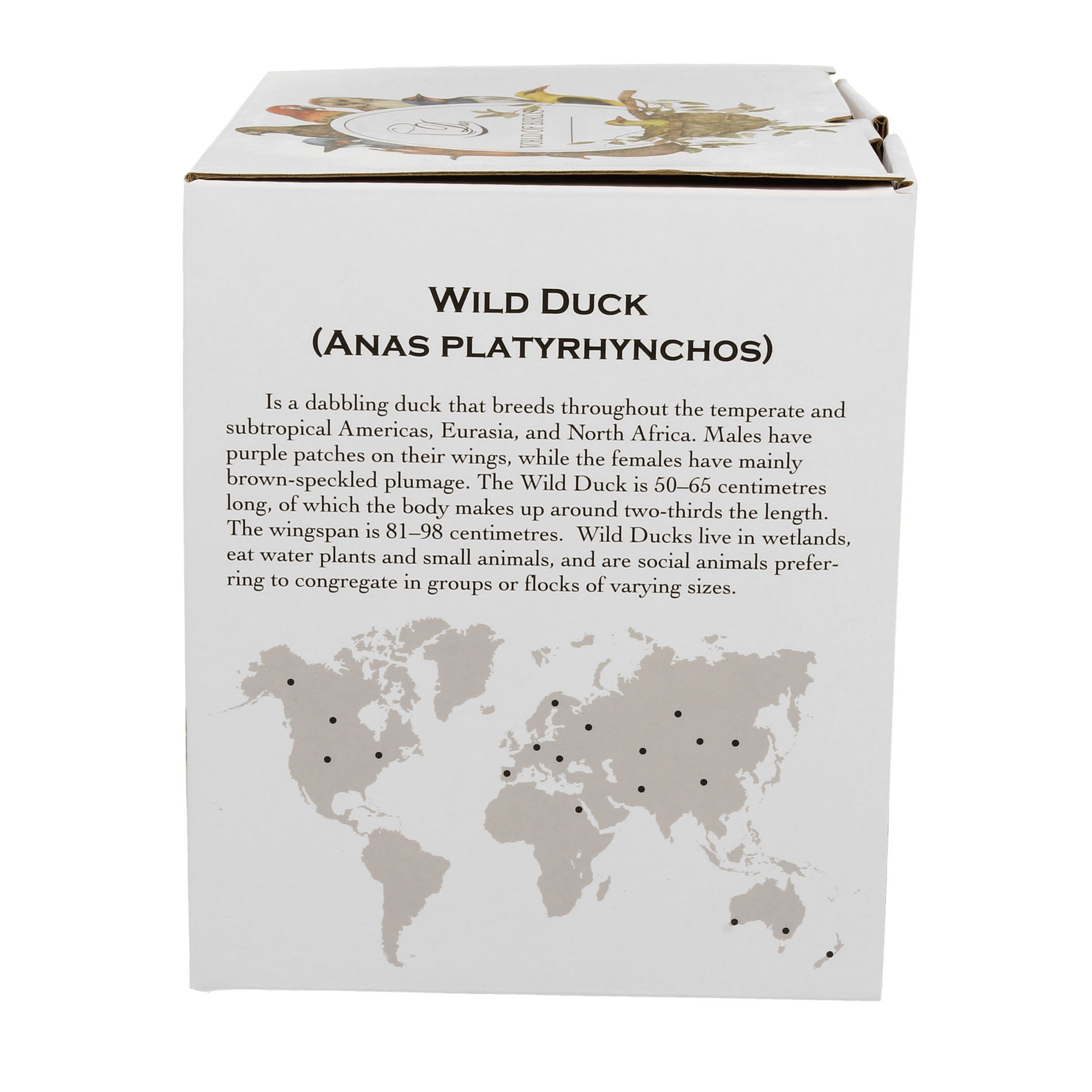 Porcelánový hrníček DUO ANIMALS PTACÍ SVĚT KACHNY 400 ml