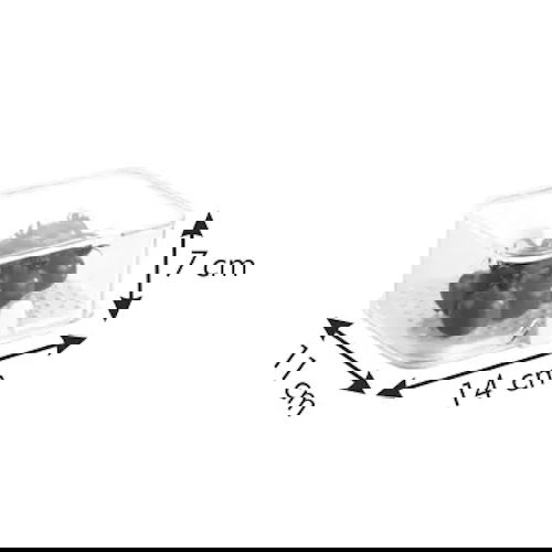 slide-image