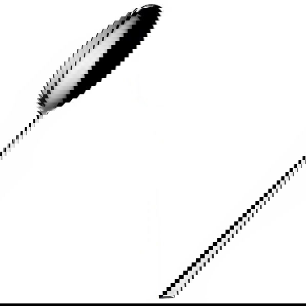 slide-image