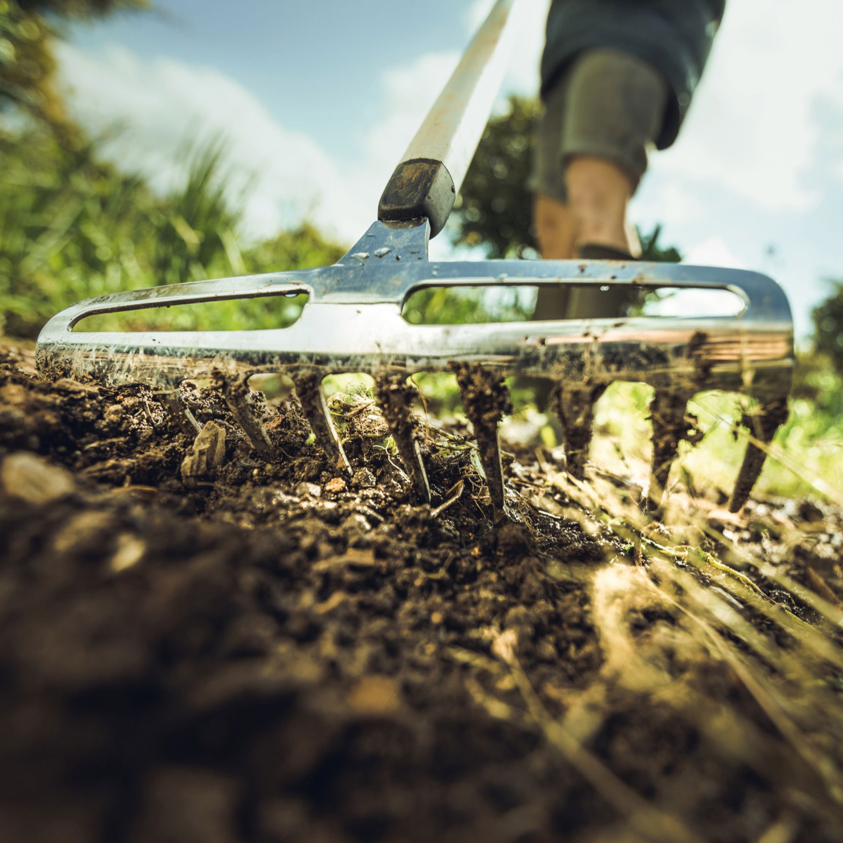 FISKARS Xact Rose Rake - nerezové hrable na ruže s rukoväťou