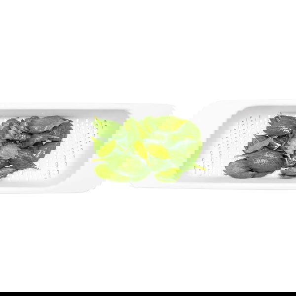 slide-image