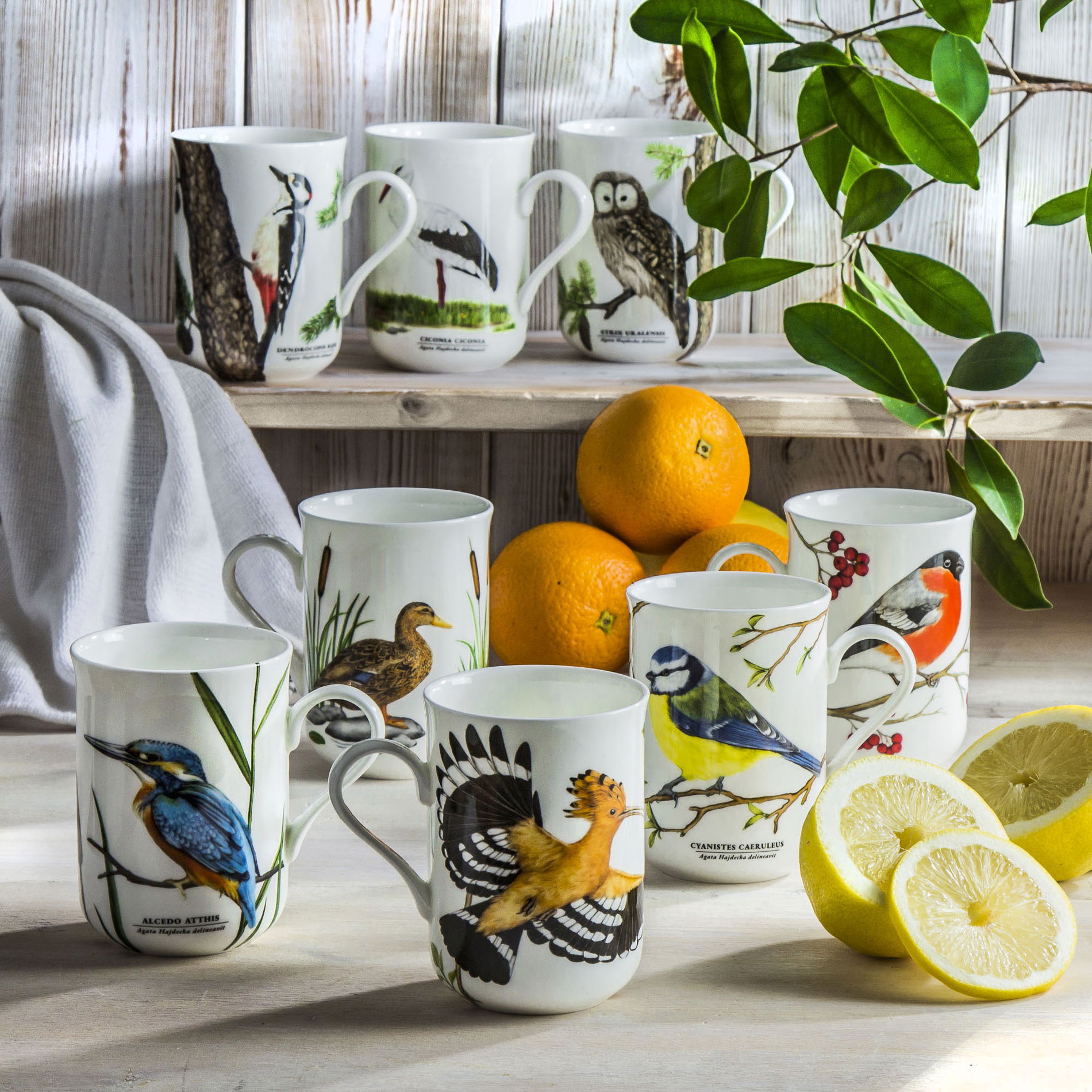 Porcelánový hrnček od Agaty Hajdeckej 300 ml