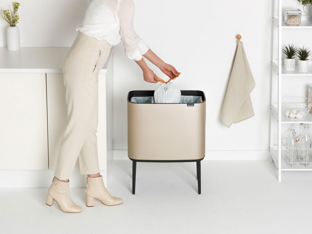 BRABANTIA BRABANTIA