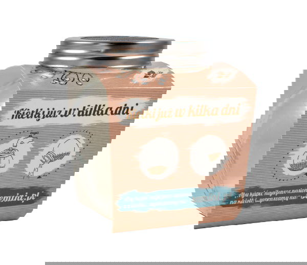 slide-image