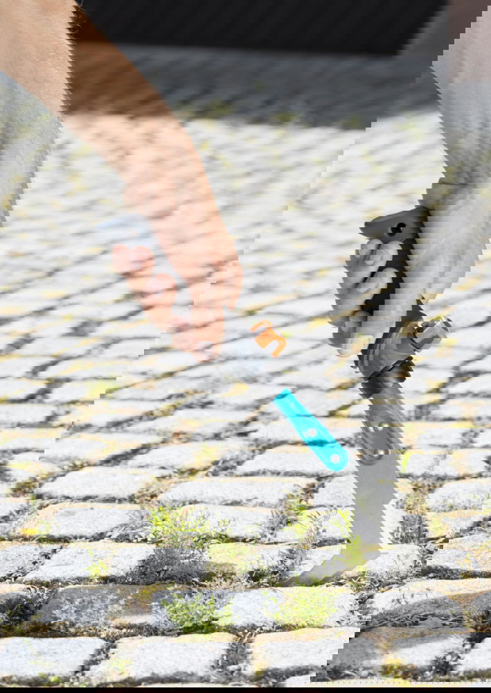 slide-image