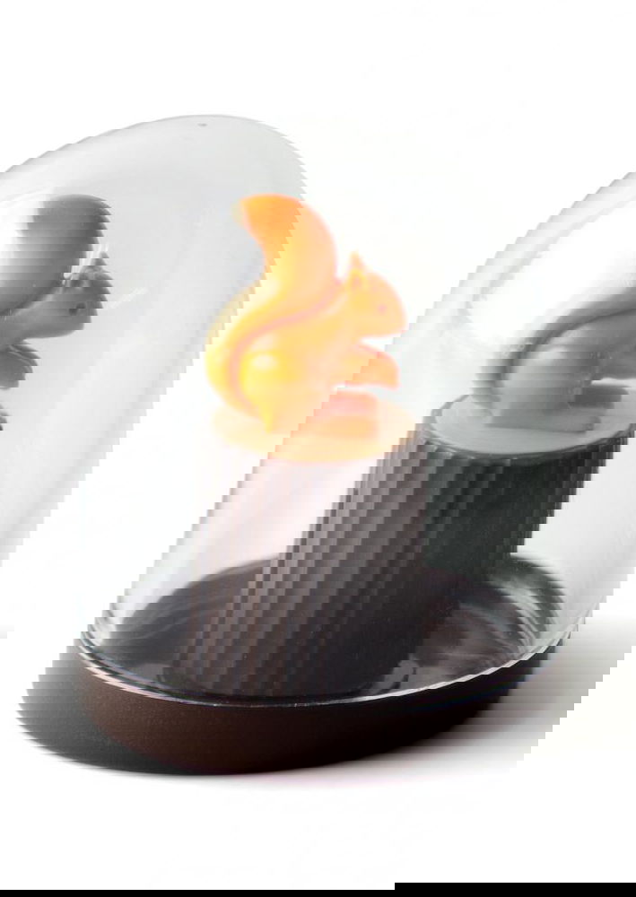 slide-image