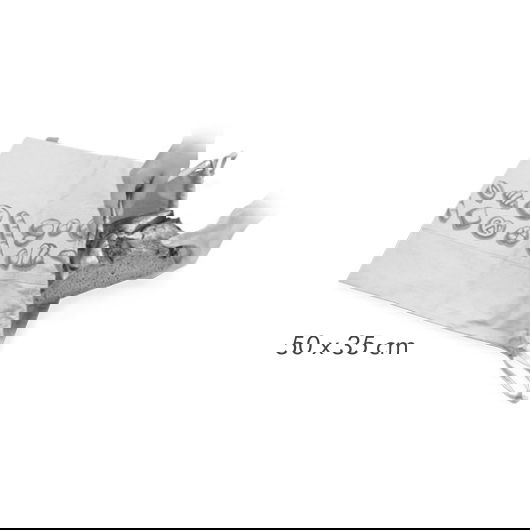 slide-image