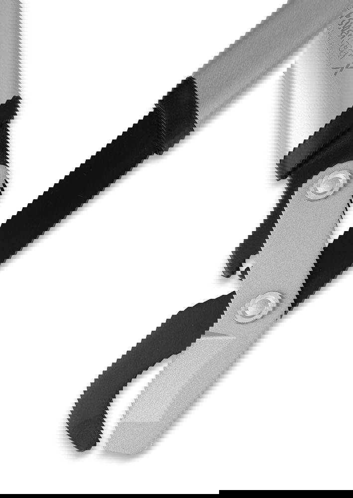 slide-image