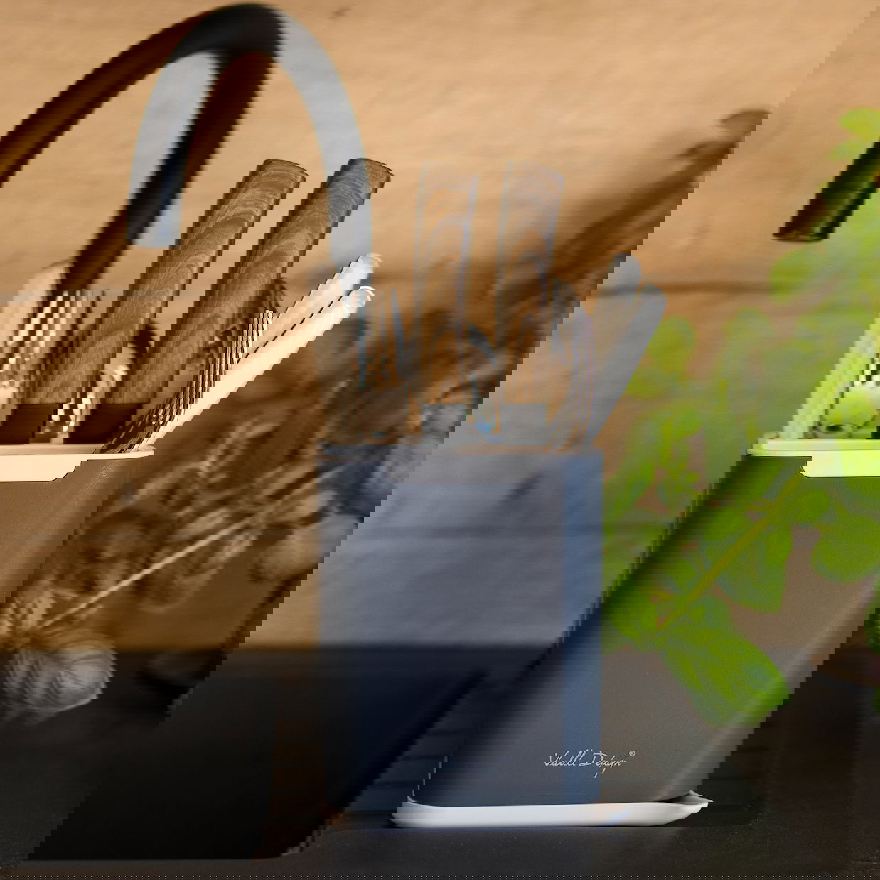 slide-image