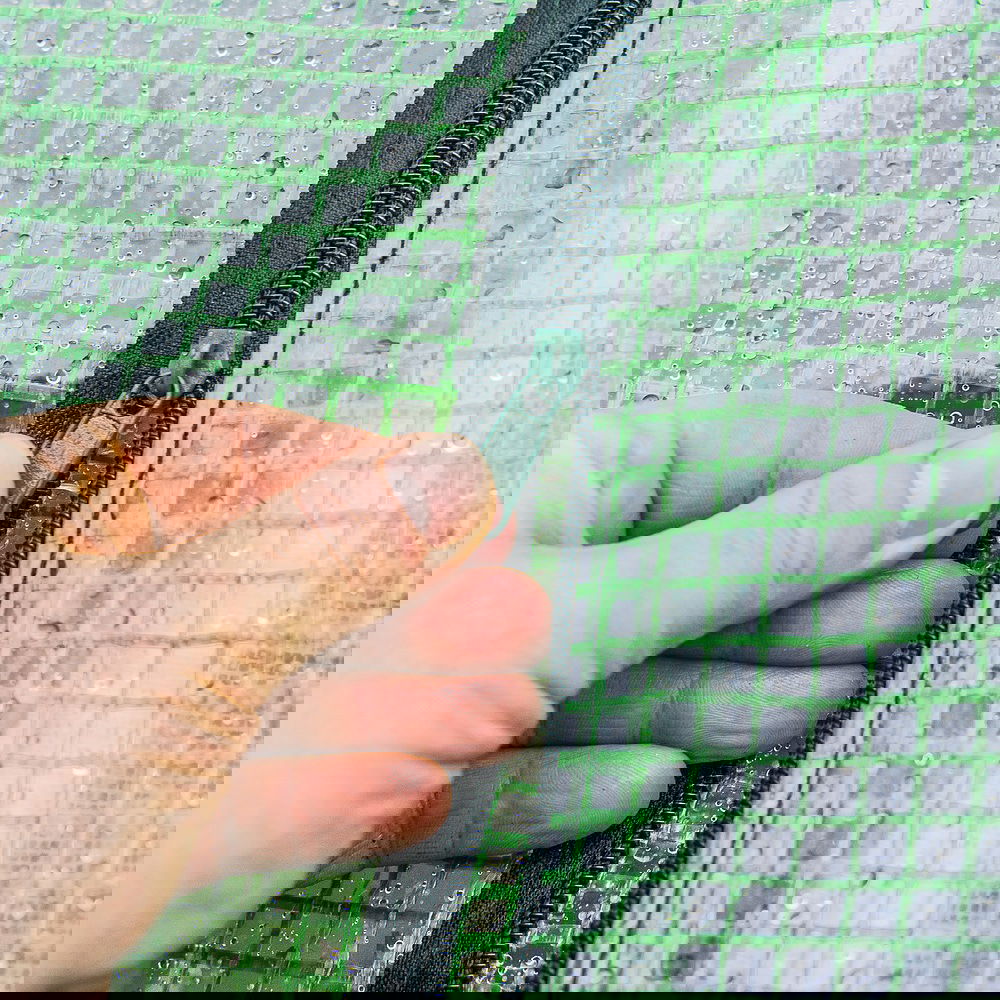 slide-image