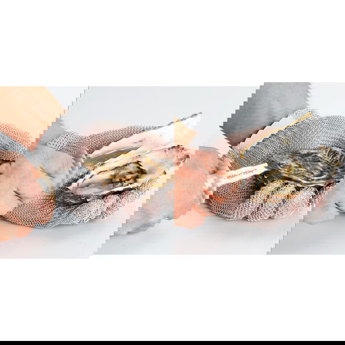 slide-image