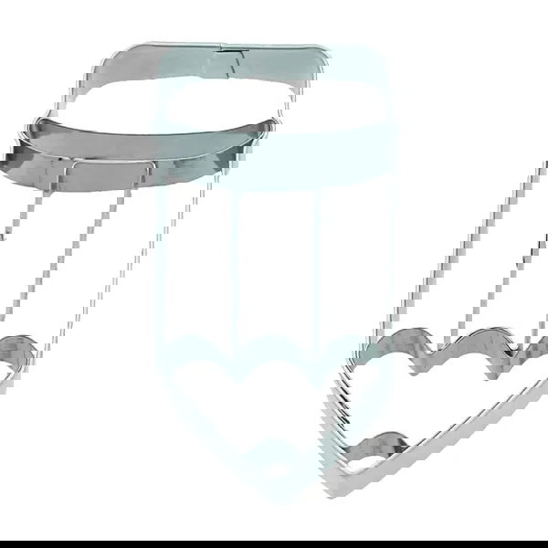 slide-image