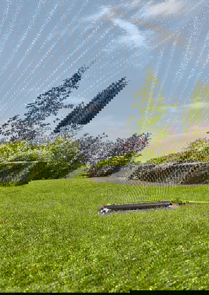 slide-image
