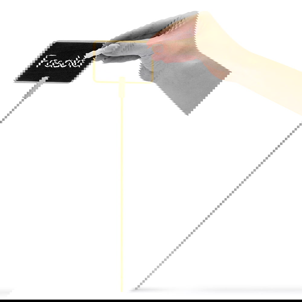 slide-image