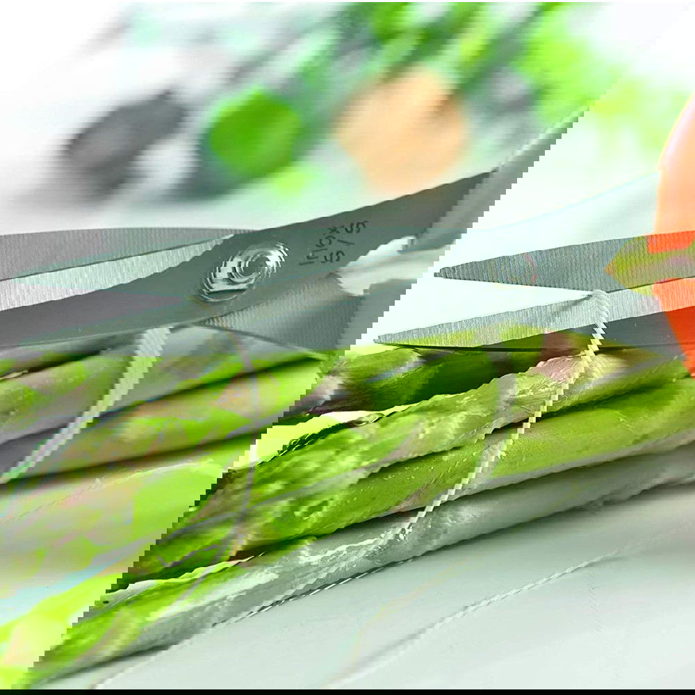 slide-image