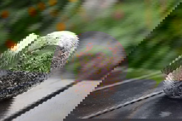 slide-image