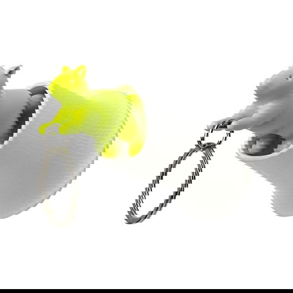 slide-image