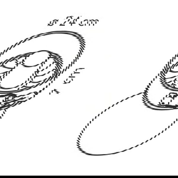 slide-image