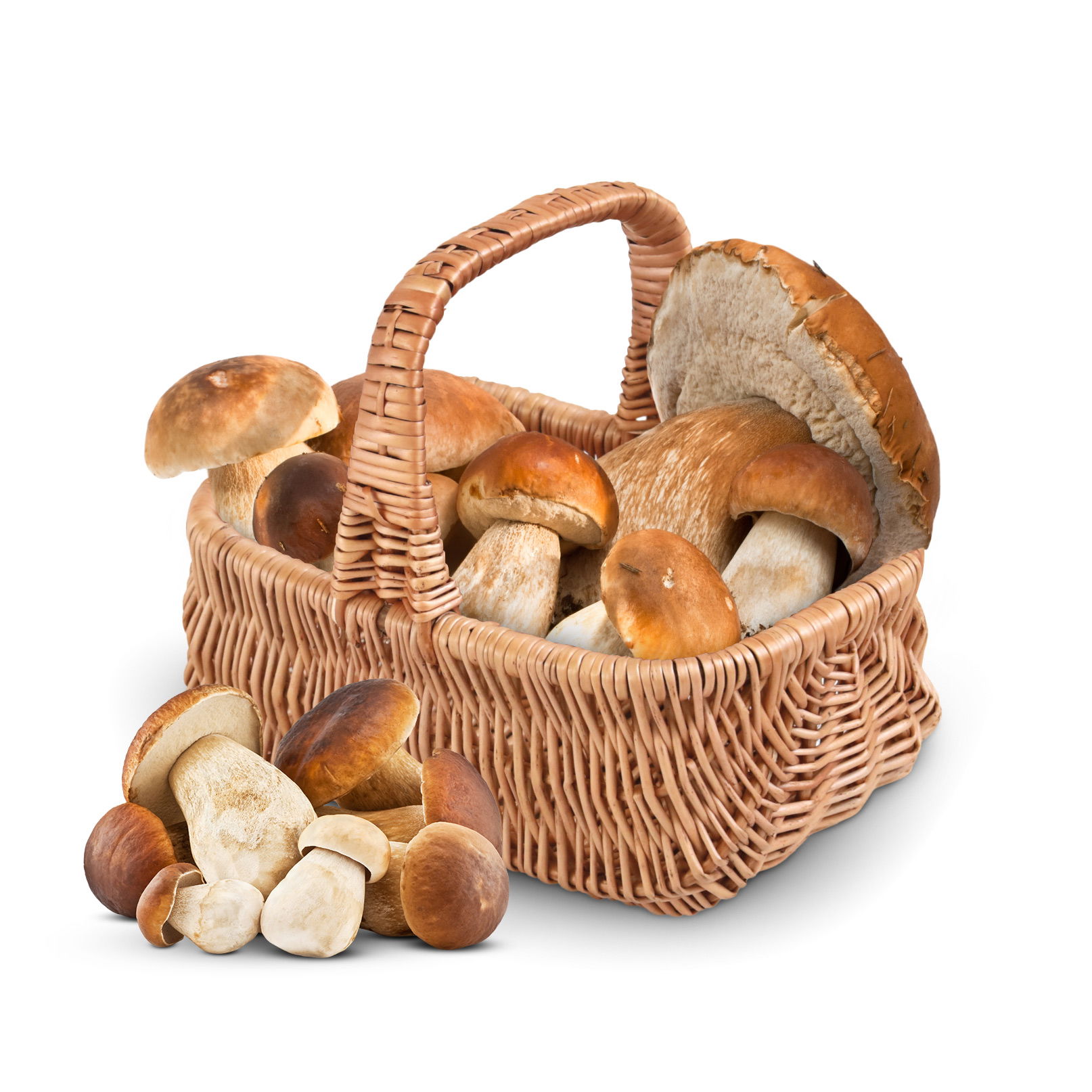 Proutěný košík na houby WNUK 34 cm