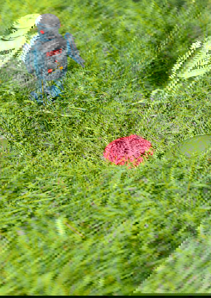 slide-image
