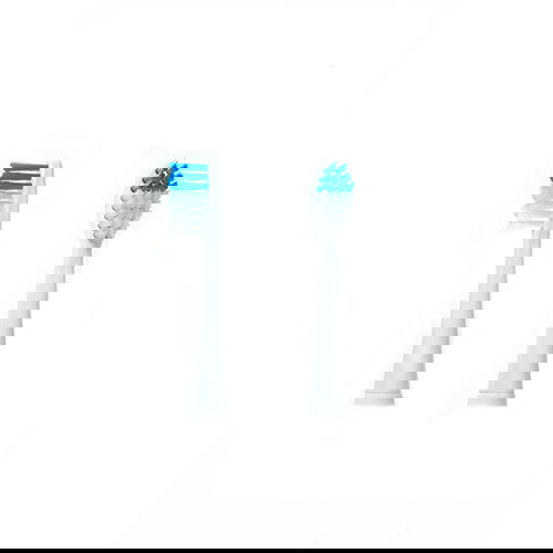 slide-image