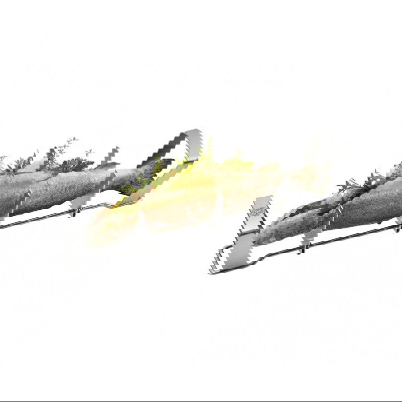 slide-image