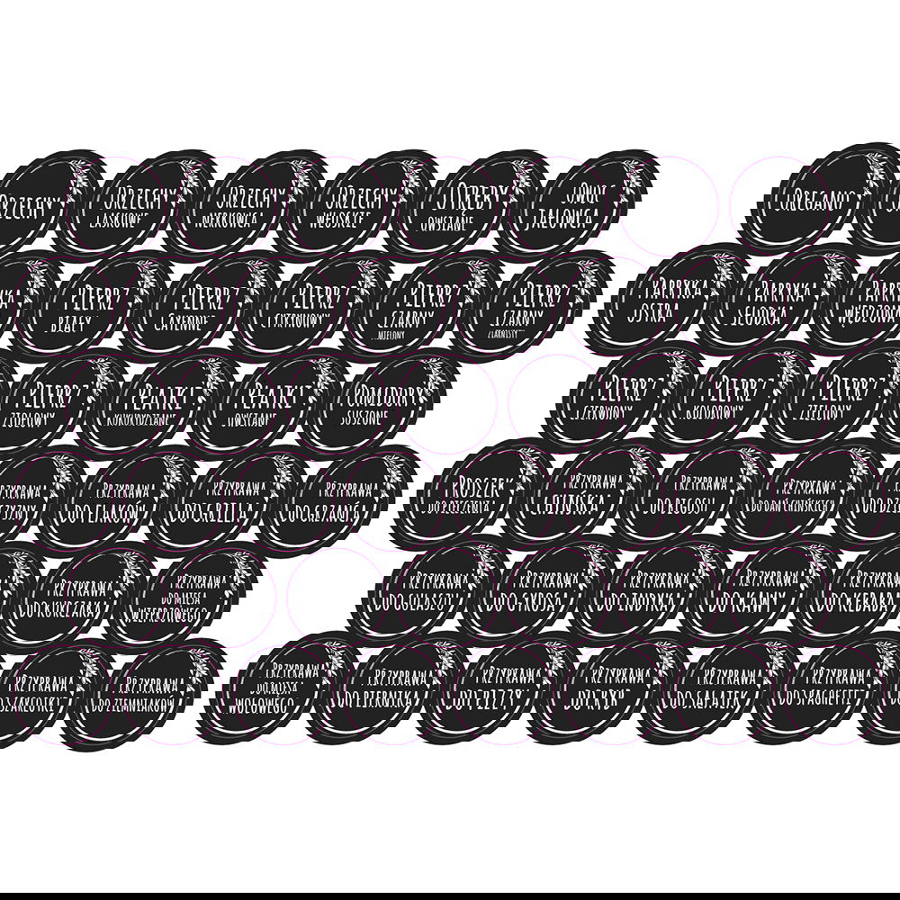 Papírové etikety na kuchyňské nádoby STICKERS SPICES 180 ks