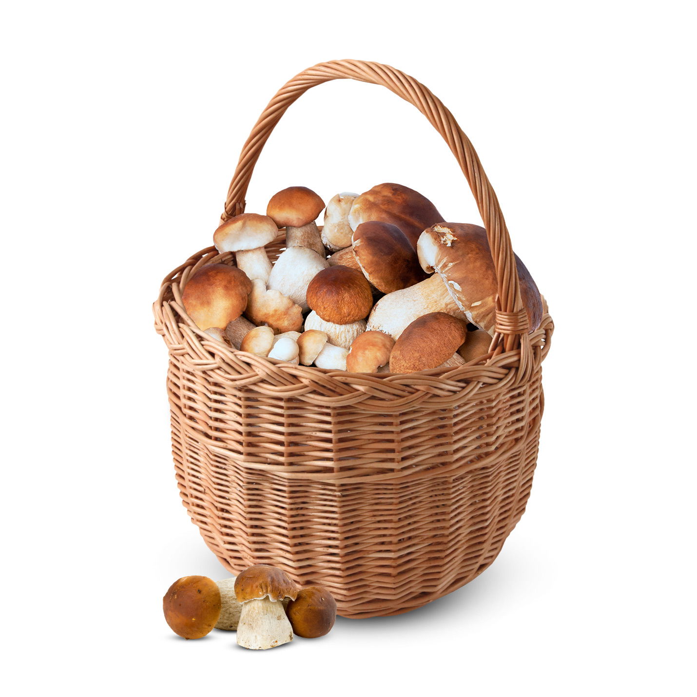 Proutěný košík na houby WNUK 30 cm