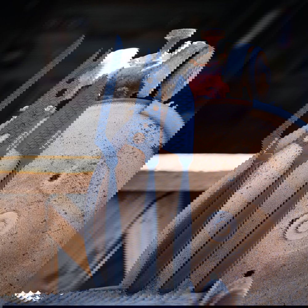 slide-image