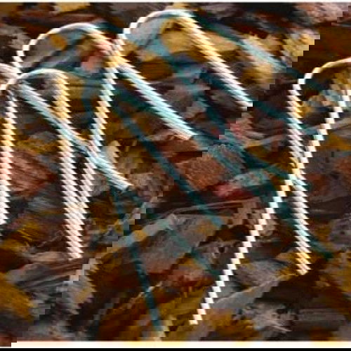 slide-image