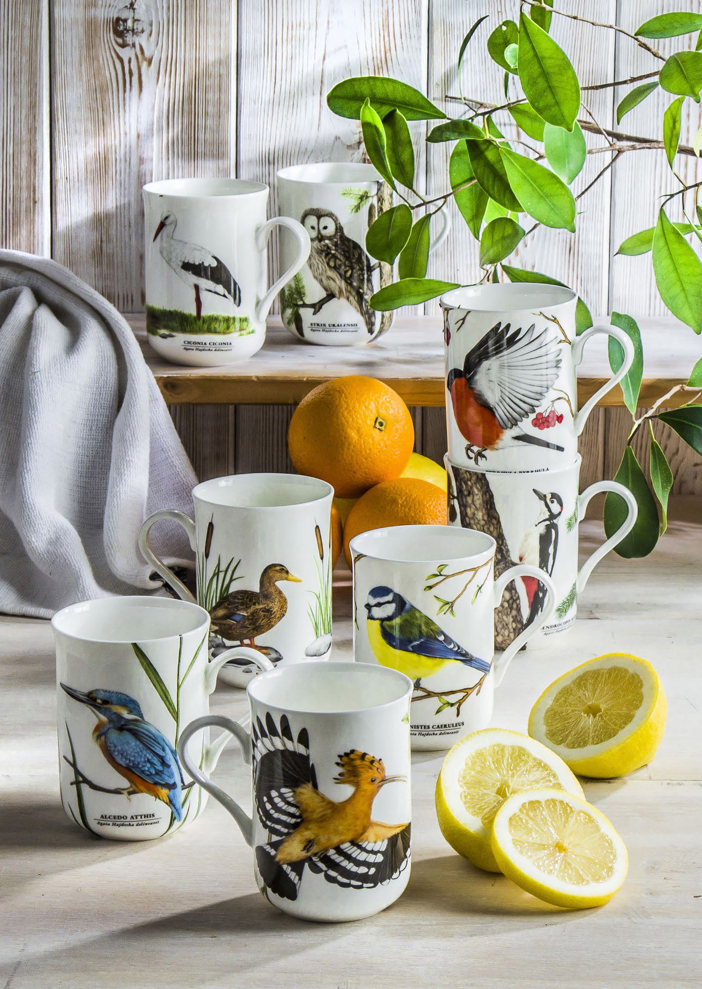 Porcelánový hrnček od Agaty Hajdeckej 300 ml