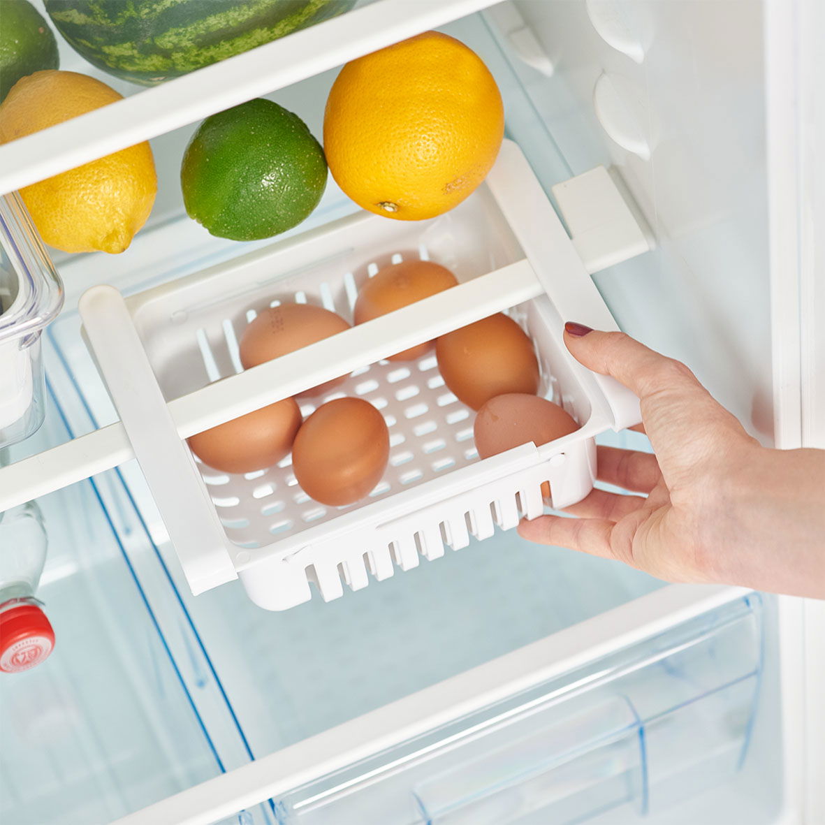 ZELLER Fridge - závěsný plastový organizér do lednice (úložný box do ledničky)