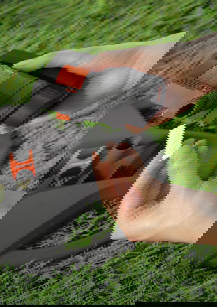 slide-image