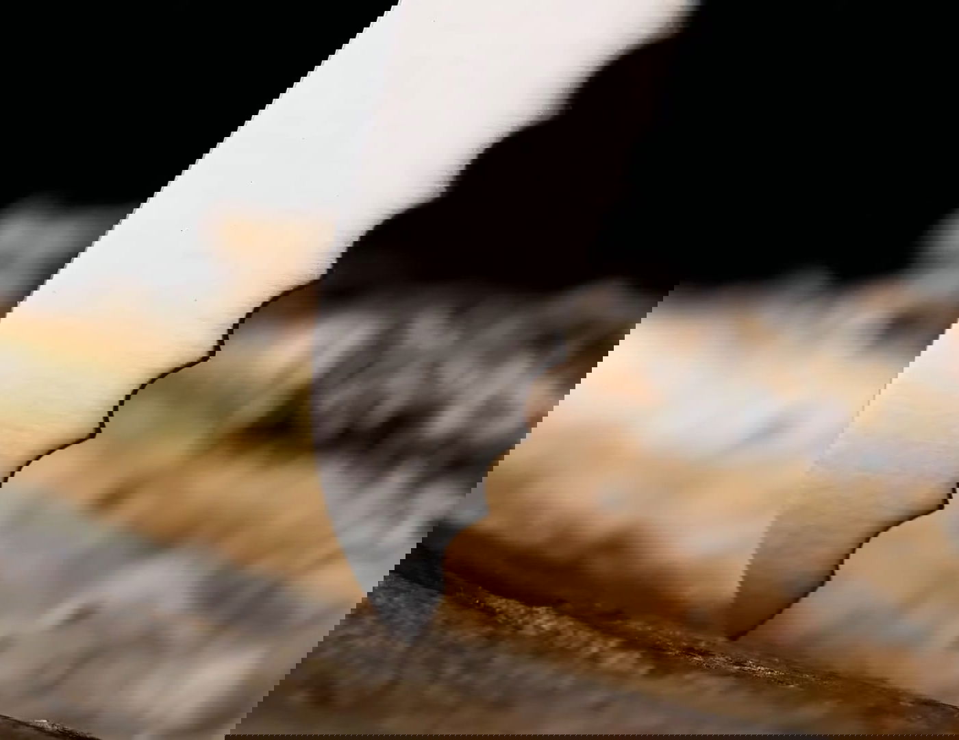 slide-image