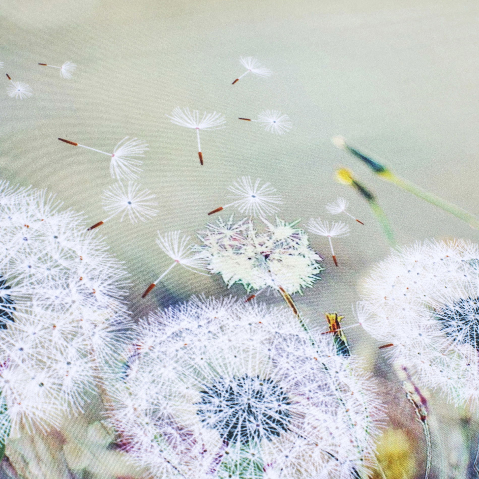 Polyesterový běhoun na stůl odolný proti skvrnám JEDEKA MILANO DANDELION zelený 40 x 140 cm