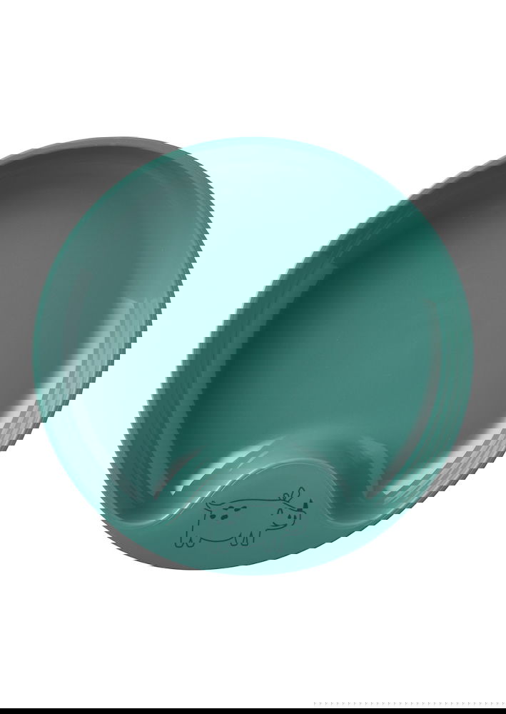 slide-image