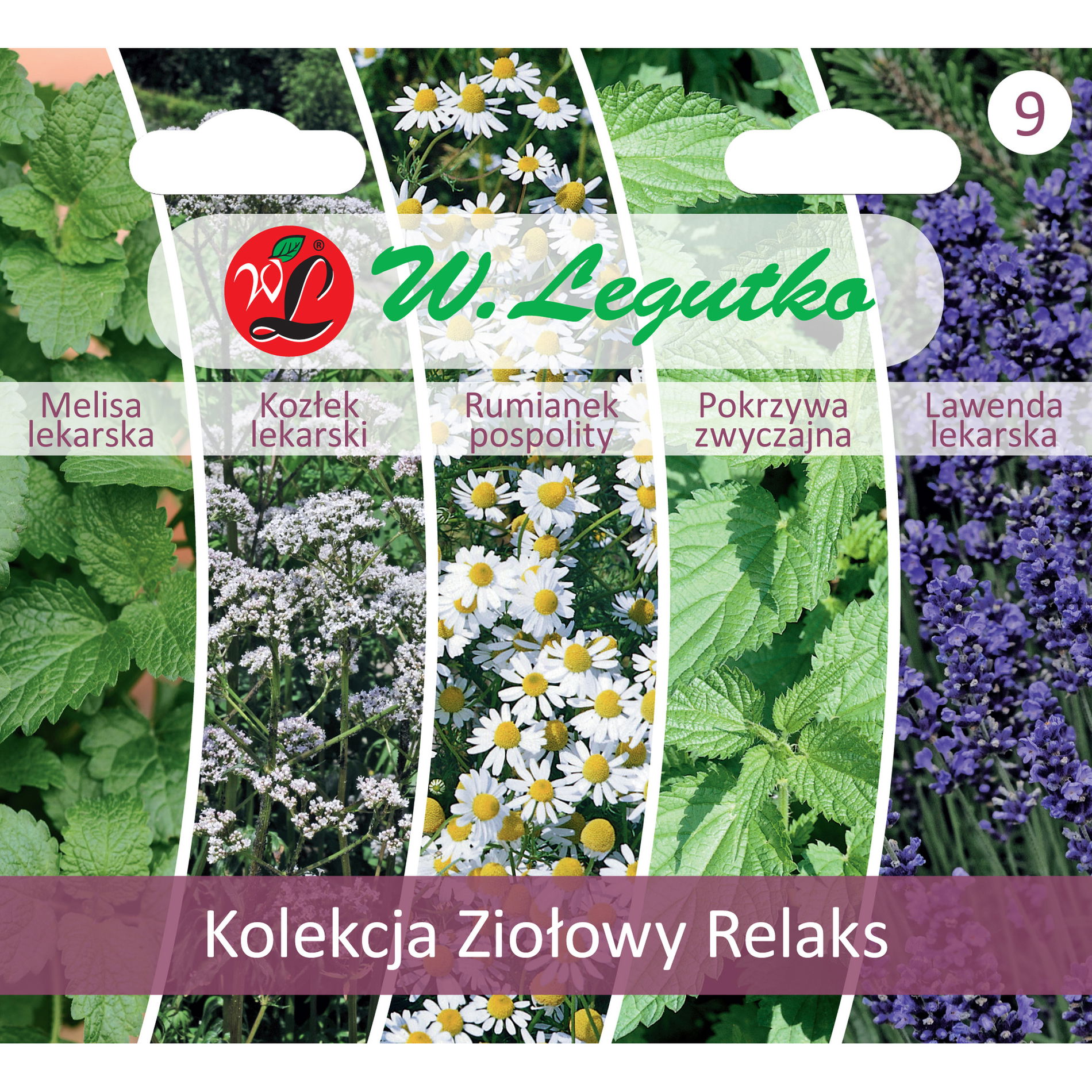 Semenná bylín W. LEGUTKO KOLEKCIA BYLINNÝ RELAX
