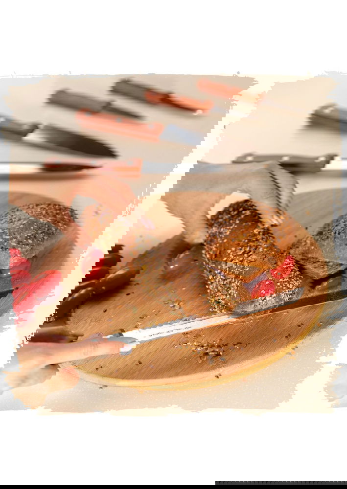 slide-image