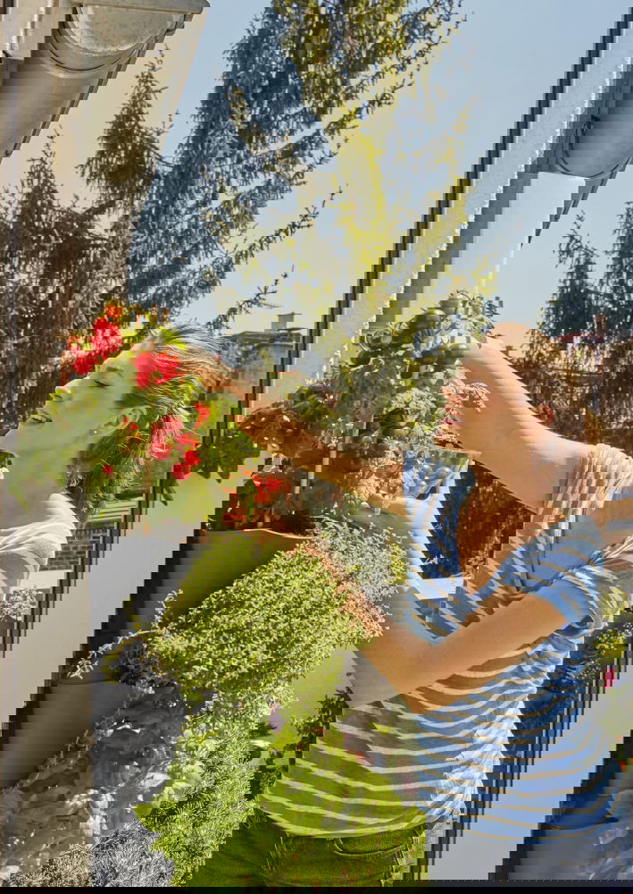 slide-image