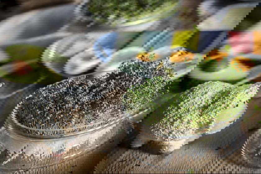 slide-image