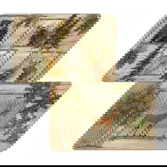 slide-image