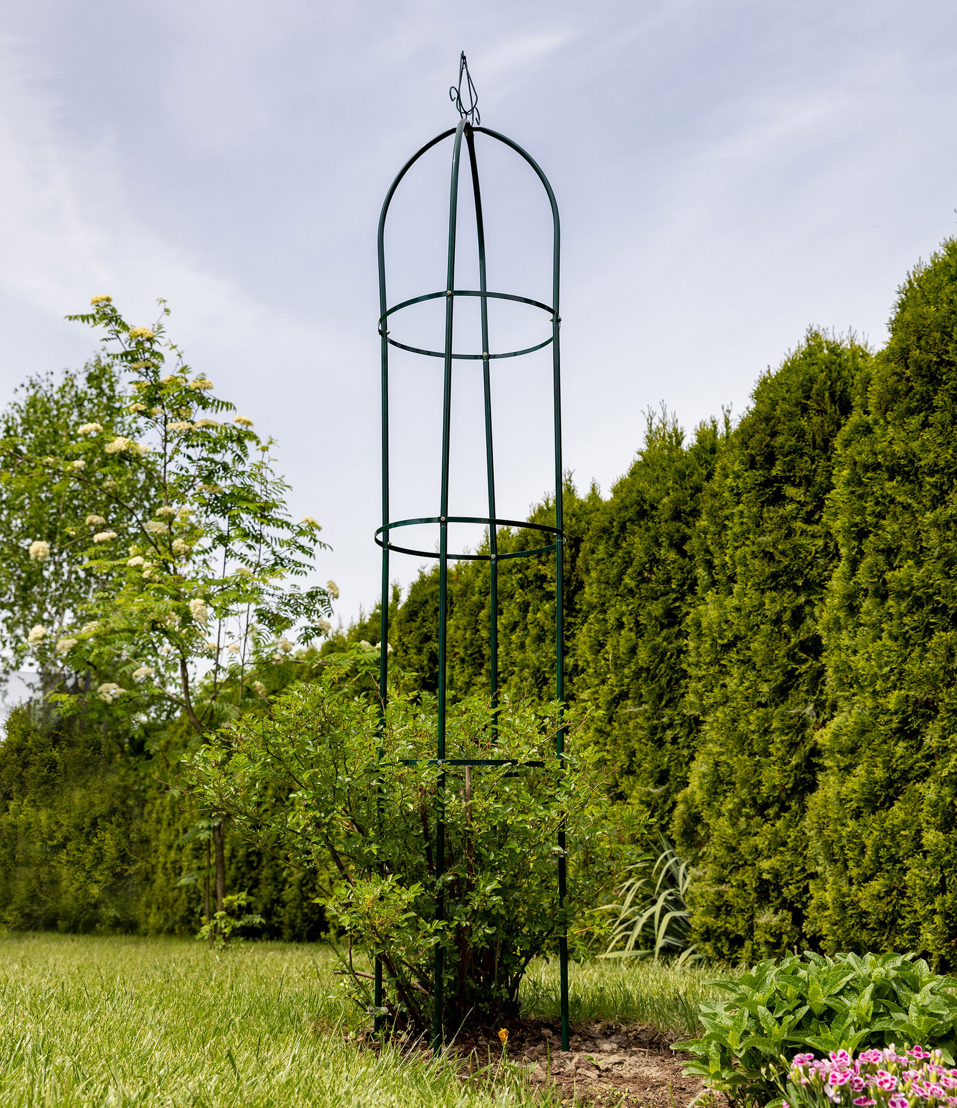 slide-image