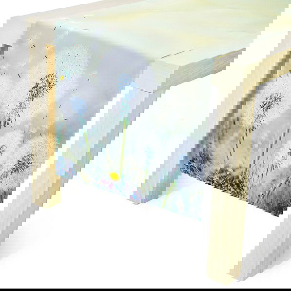 slide-image