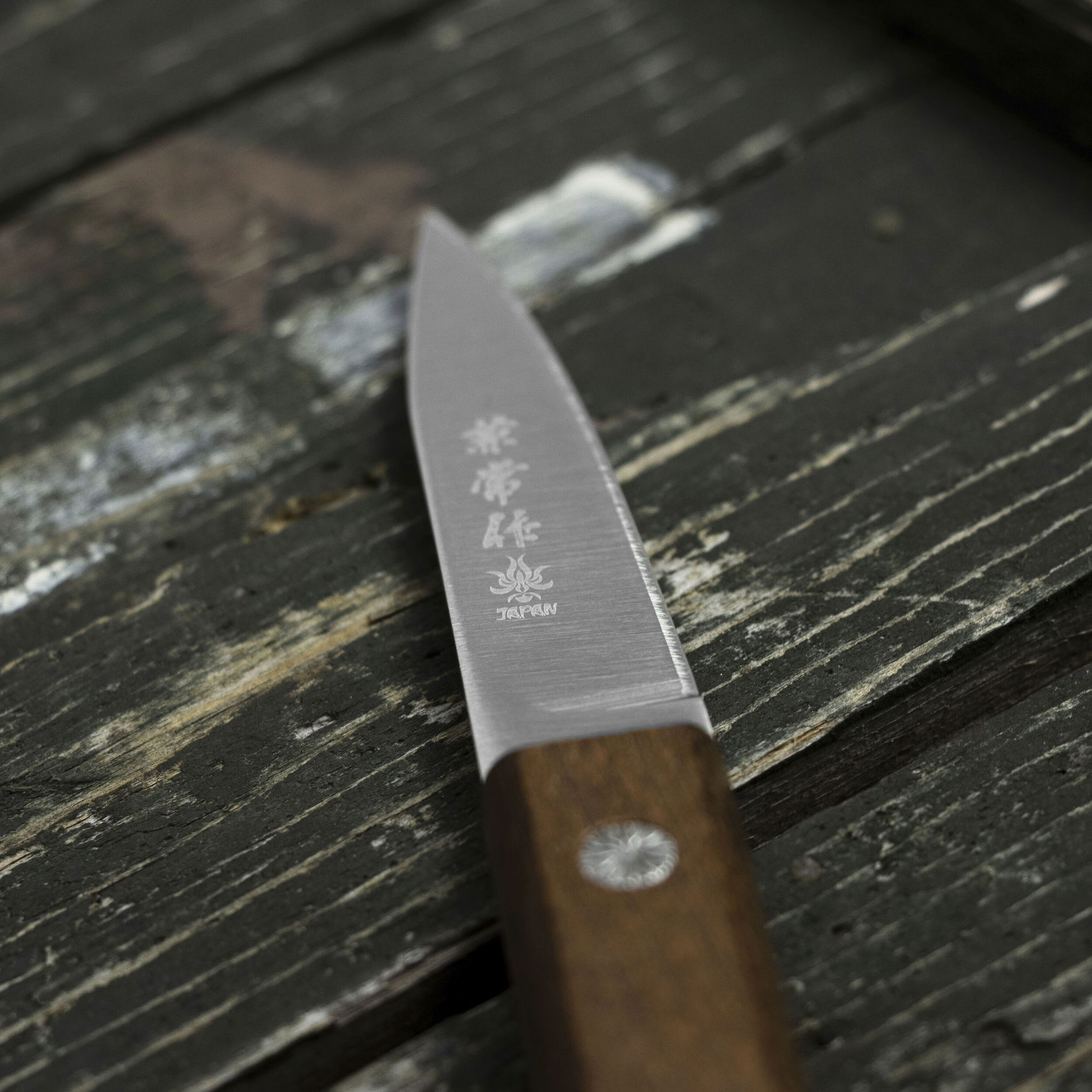 KANETSUNE SEKI 6 cm - japonský nôž na šúpanie zeleniny a ovocia z nerezovej ocele
