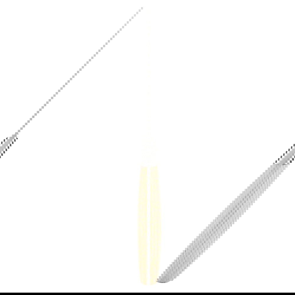 slide-image