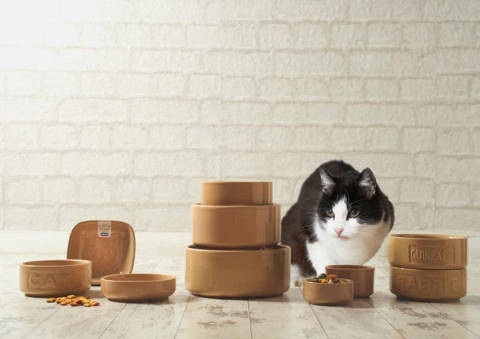 MASON CASH PetWare Cat 13 cm béžová - kameninová miska pro kočky